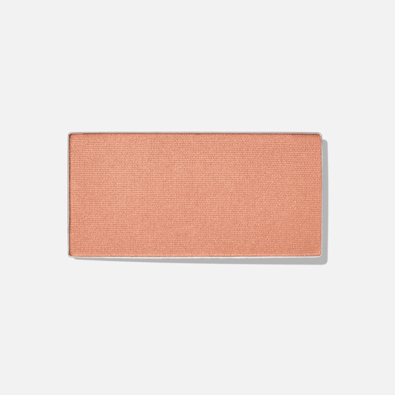 Pan of Chromafusion Eye Shadow in Biscotti on plain background